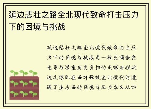延边悲壮之路全北现代致命打击压力下的困境与挑战